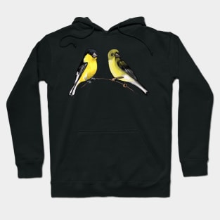 Lesser Goldfinches Hoodie